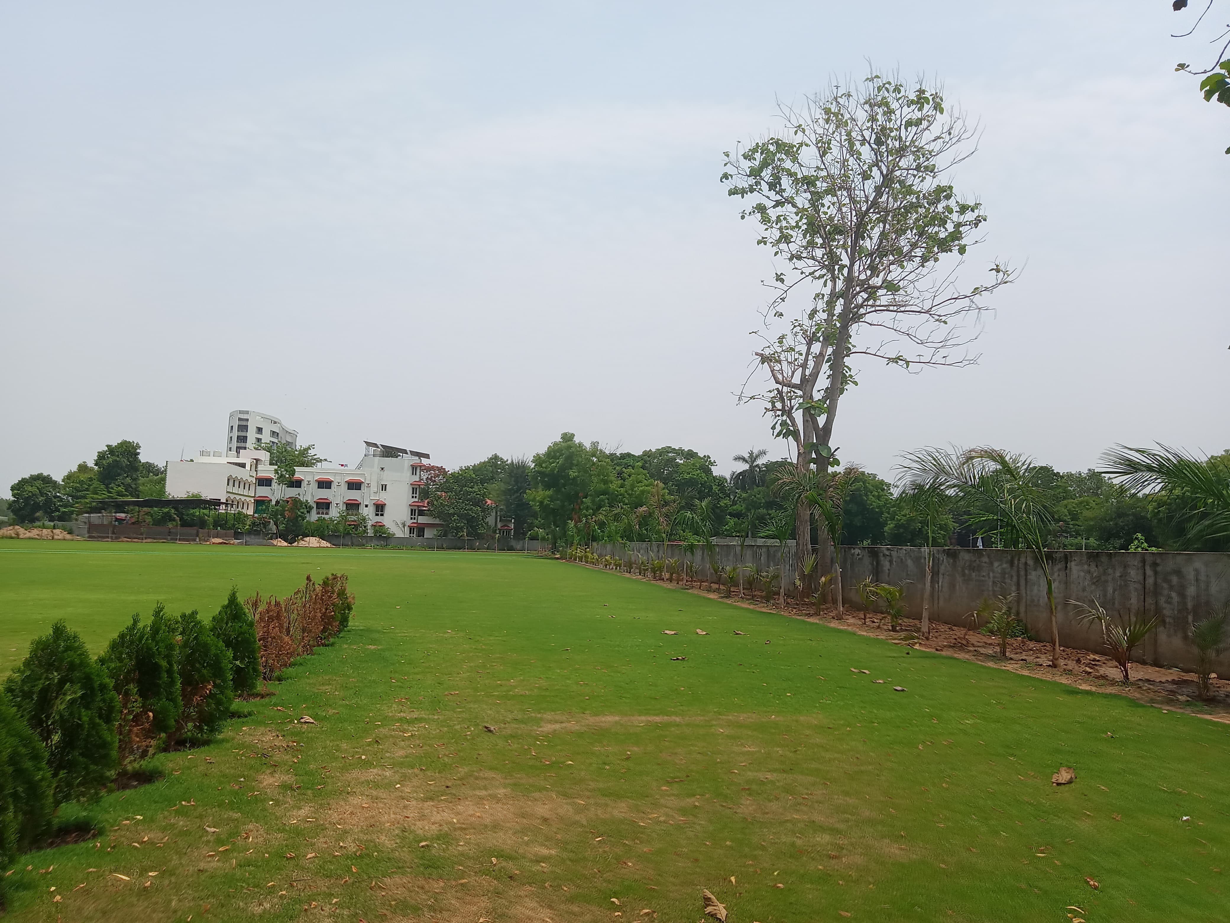AARUSH LAWN
